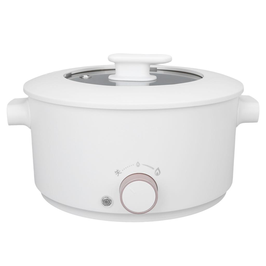 3L Electric Cooking Pot Mini Multifunctional Electric Cooker Dorm Studen Electric Frying Pan