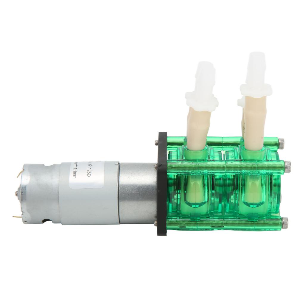 Dual Head High Flow Corrosion Resistant Peristaltic Pump Liquid Dosing Pump with BPT Tube 700mlmin