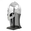 Medieval Steel Warrior Helmet with Chain Mail Silver Wearable for Cosplay, LARP, Halloween Collectors Viking Knight Gift