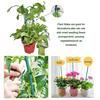Plant Supports Water-Resistant Anti-Fade Easy To Install No Peculiar Smell Convenient Grow Upright Reusable Orchid Clip Fixing Stakes Home Supply