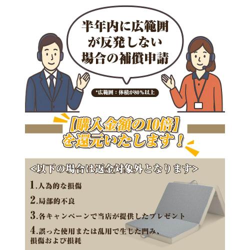 Tillmulya High-Resilience Firm 190N 36D Density Folding Mattress, Single Size, 10cm Thick, Tri-Fold Mattress, High-Resilience Mattress, Foldable, Body