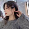 925 Silver Needle Korean Fashion Long Chain Tassel Earrings For Women Metal Earing Jewelry  Trending Women's Drop Earrings