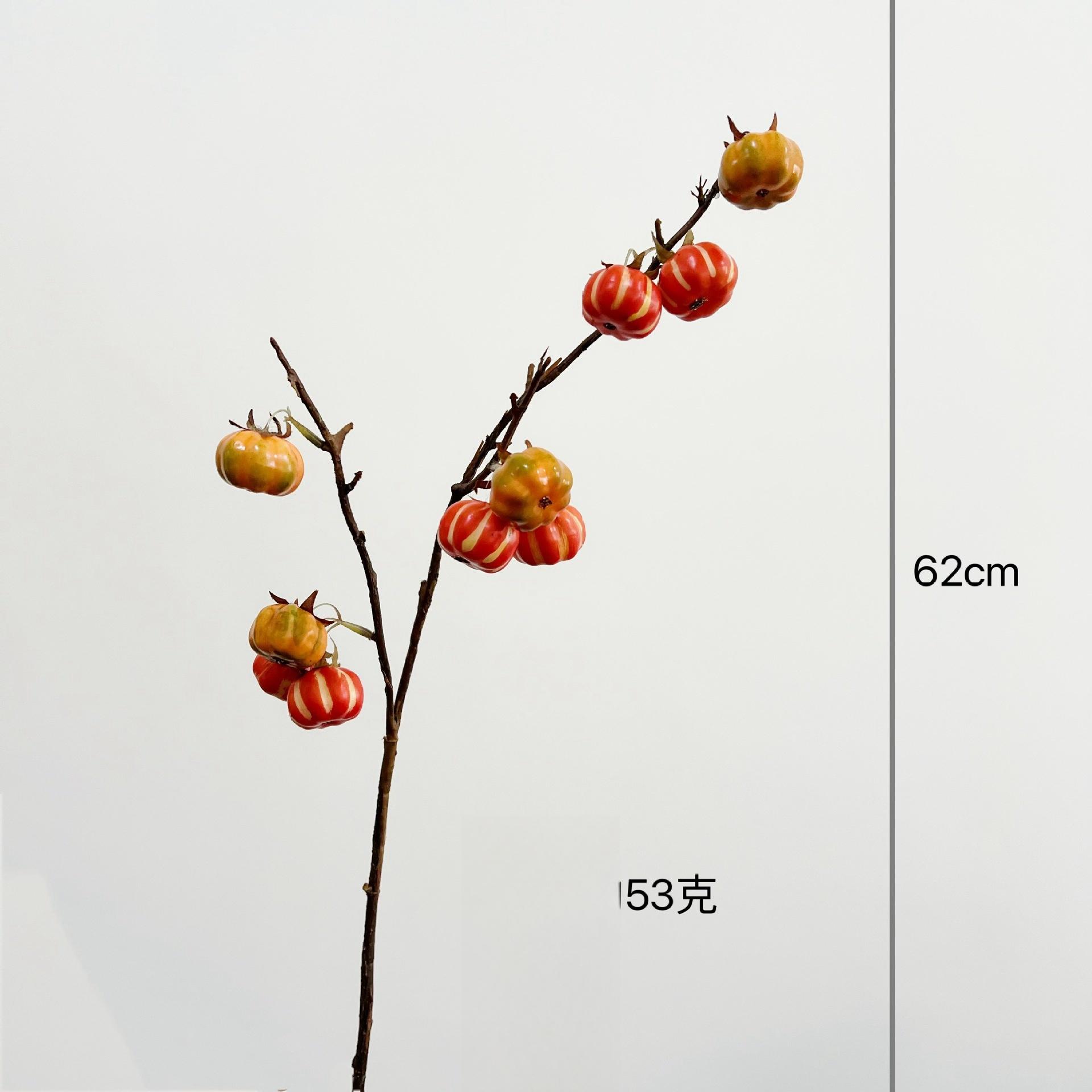 

Искусственный цветок 10 маленьких тыквенных фруктов Настоящие и поддельные тыквенные фрукты Украшение дома Свадебные имитационные ягоды Искусственные цветы Искусственный цветок оранжевый