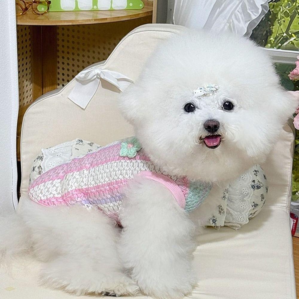 Color Blocking Pet Dog Vest Breathable Dog Clothes Cute Style Dog Vest  Daily Walk