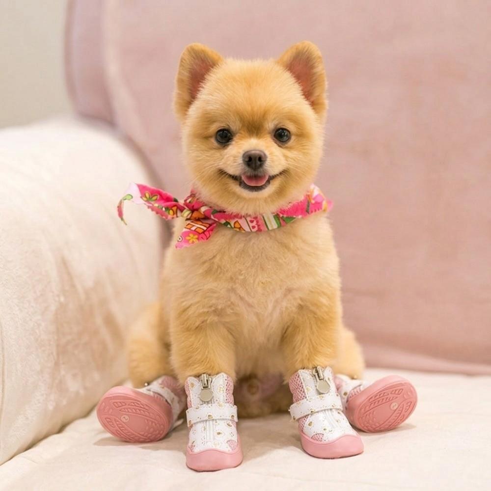 4Pcs Breathable Breathable Pet Boots Golden Mesh Puppy Paw Shoes Mesh Dog Shoes Indoor Activities