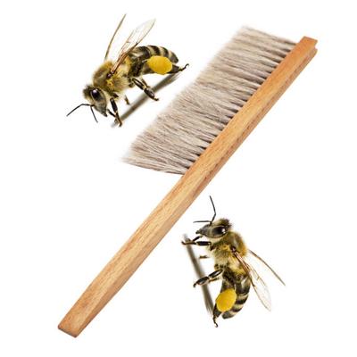 Wood Honey Brush Wasp Bee Sweep Two Rows Of Horse Tail Hair Beekeeping Tools