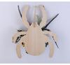 Spider Wooden Plaque Door Wreath Halloween Wreath Pendant Festival Decoration Simulation Flower Hanging Ring Decor for Yard Gift