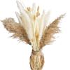 Dried Natural Pampas Grass Decoration for Vase Boho Bouquet Large