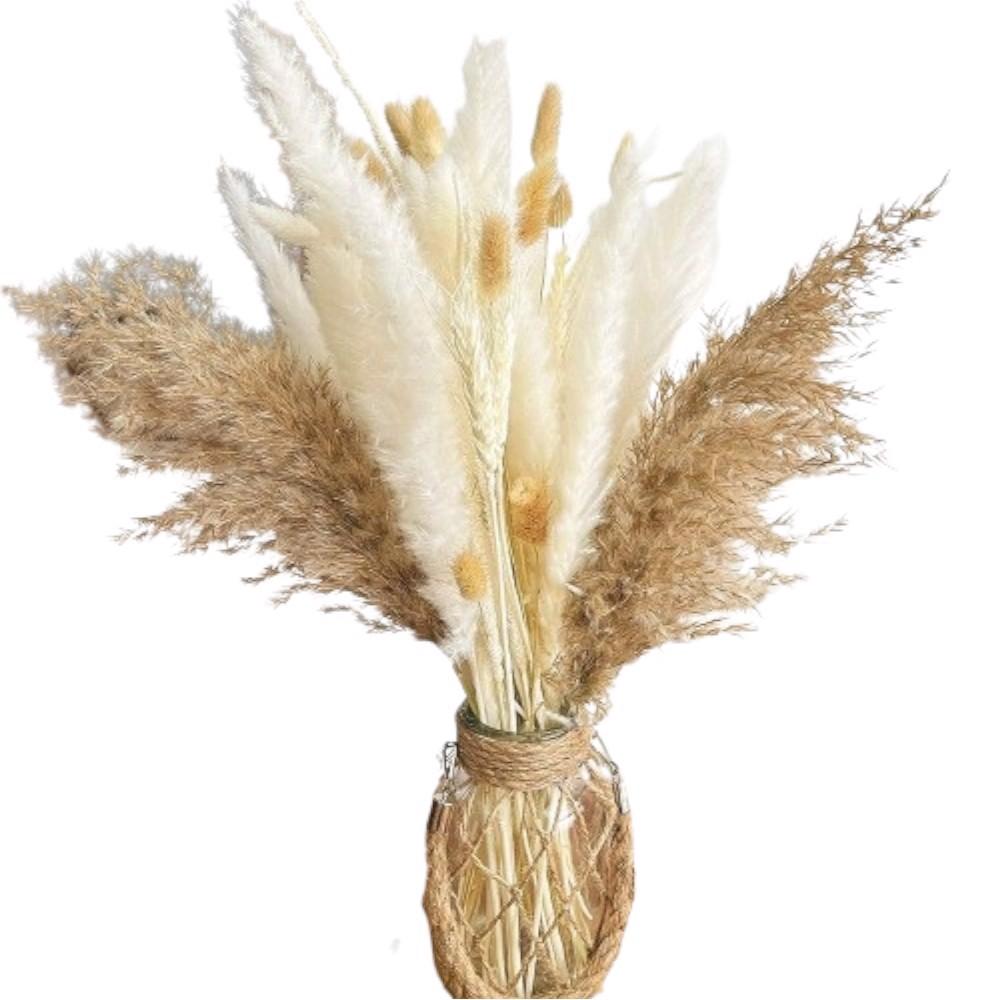 Dried Natural Pampas Grass Decoration for Vase Boho Bouquet Large