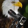 25-75x60 Spotting Scope Hd Zoom Monocular Powerful Telescope Waterproof Long Range With Tripod For Birdwatching Shooting Camping