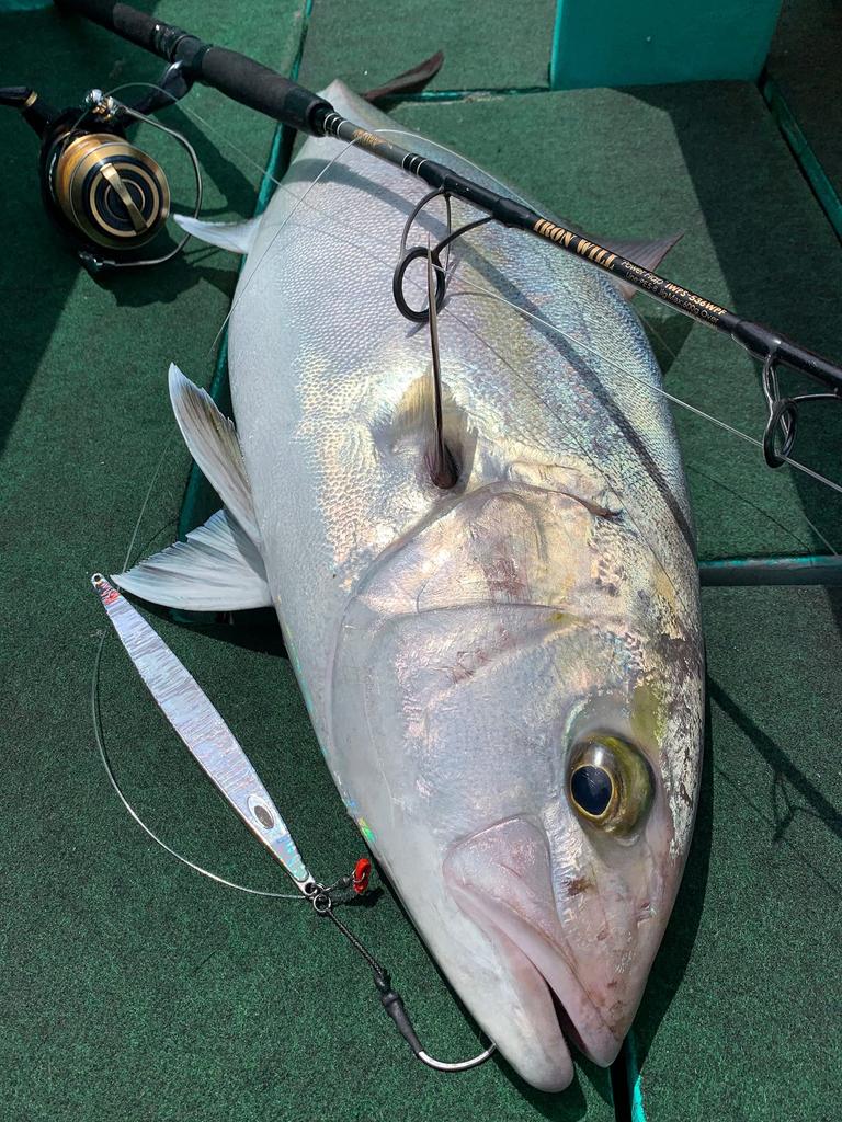 NatureBoys Nakuigloo 295g Swim Rider Short Lure SS1295-12K