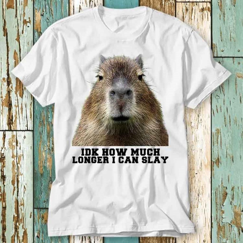 Idk How Much Longer I Can Slay Capybara Sarcastic Dank Meme T-Shirt Top Design Unisex Ladies Mens Tee Retro Fashion Vintage Shirt S937