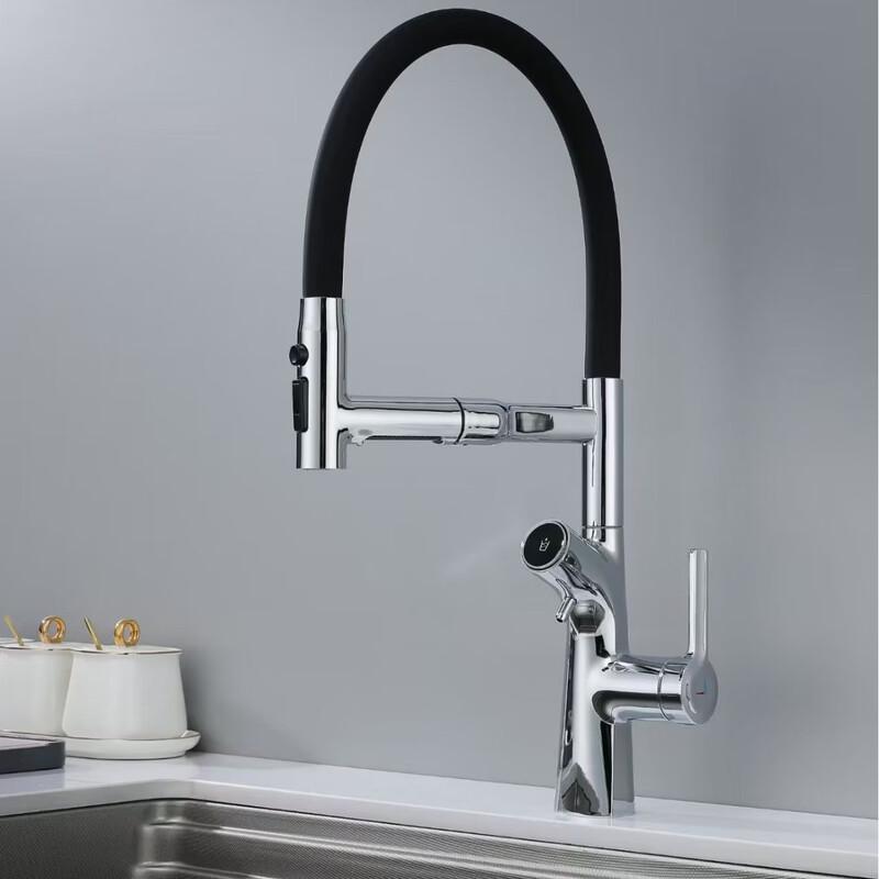 TLXT Magnetic Kitchen Water Purifier Faucet