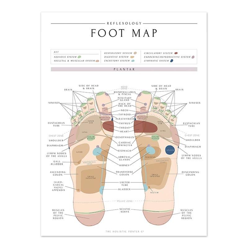 Nouveau Le Corps Structure Squelette Art Mural Anatomie du Système Nerveux Image sur Toile Affiche Éducative Décoration Médicale Peinture