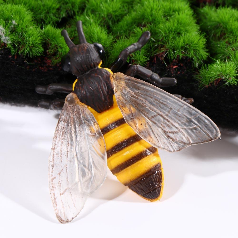 Butterfly Growth Cycle Action Figures Growth Cycle Model Life Cycle Figurine Simulation Animals