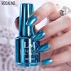 Fashion Gel Oranments 20ml Quick Mirror Effect Metallic Art Nail Polish Drying Lasting Varnish Tool