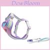 Pet Summer Mesh Harness With Polyester Material For Small Dogs And Corgis