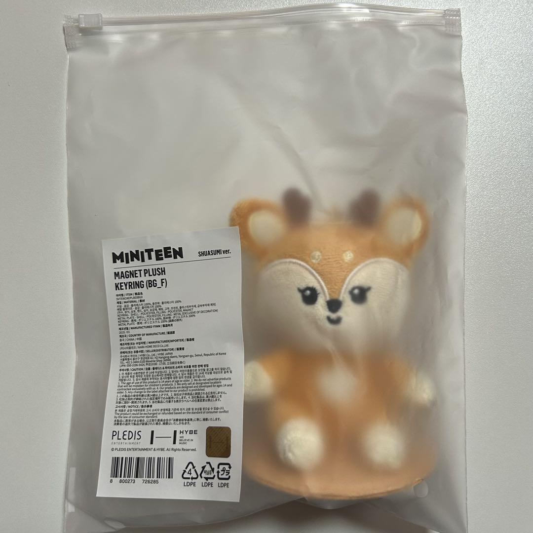 

[USED] SEVENTEEN Mini Teen Magnet Key Ring Joshua