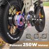Bicicletta elettrica VARUN S20-1 - Batteria 48 V 13 Ah - Autonomia di 100 km - Con sospensione anteriore - pieghevole 20 pollici - Pneumatici larghi