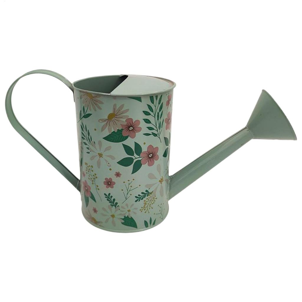 Annaffiatoio Piante Retro Beccuccio Lungo Vaso Spray 2L Annaffiatoio in Ferro per Piante da Interno Irrigazione Giardino Bottiglia per Annaffiare