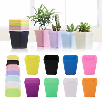 Mini Square Flower Pots Colorful Succulent Seedling Trays Plastic Nursery Planters DIY Plant Grow Boxes Garden Home Office Decor