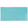 SWANS Swimming Chamois Towel, Quick-Drying, for Pool and Gym, SA-126 MINT, Compact Sports Towel Size, Polyester/Nylon, 40cm X 100cm