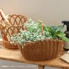 Basket with a Single Small 22 X 17 X Cm Handle Height 5 Looks Like Natural Perfect for Rooms with a Natural Making It Ideal for Kitchen and Garden