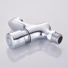 Single Cold Press Basin Faucet with Automatic Time-Delay