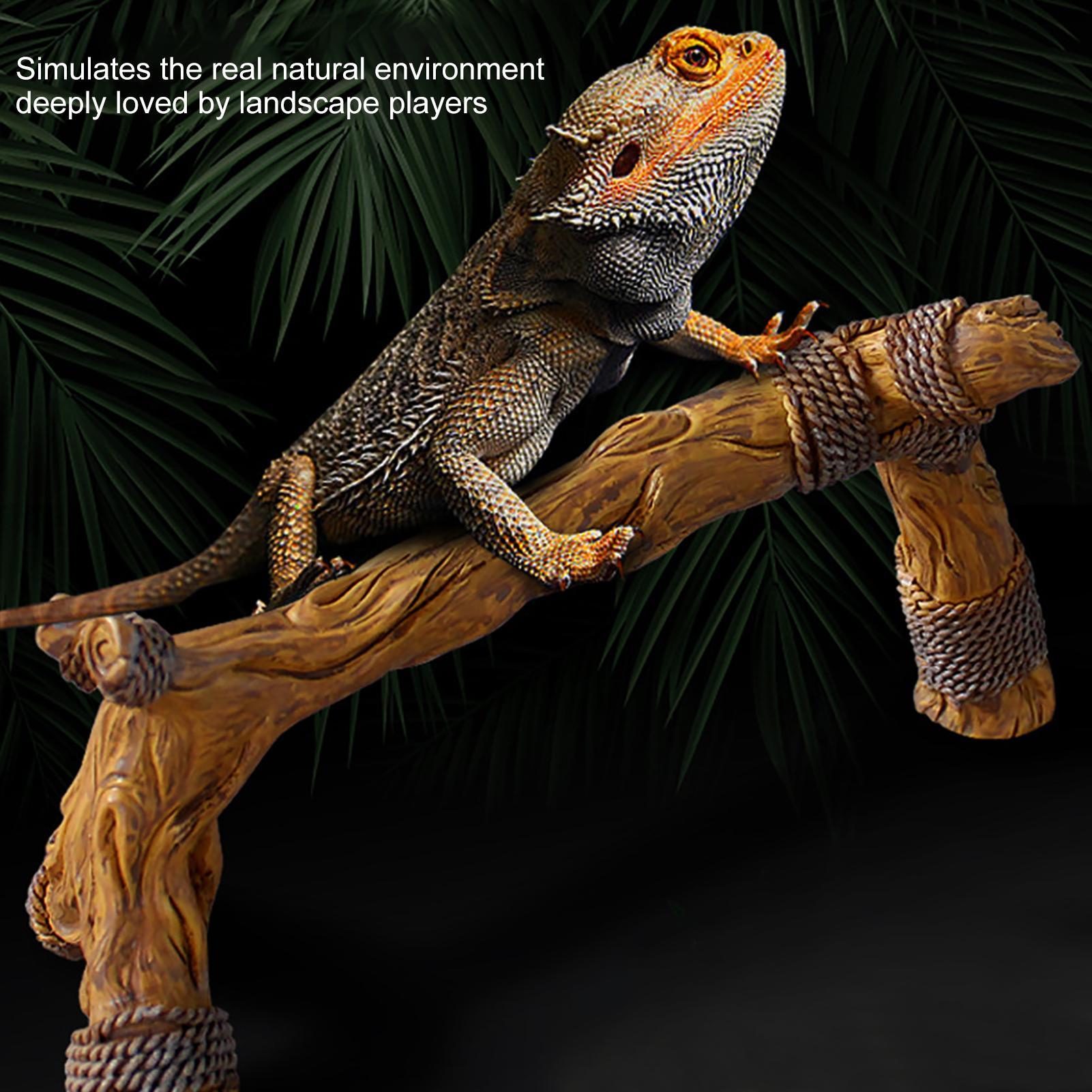 

Climbing Branches for Reptile Tank Terrarium Resin Branches for Chameleon Natural Texture Reptile Habitat Decoration for Snakes CN