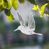 Hummingbird Hanging Ornaments Transparent Flying Birds with Hooks for Ceiling Decor Wedding Christmas Party Supplies