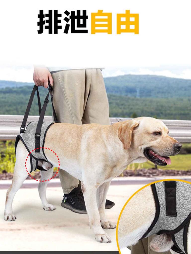 Care Harness for Dog Body for Large for Large Dog Adjustable Support Pet Supplies Dogs, Harness, Harness, Dogs, Walking, Harness, Harness,
