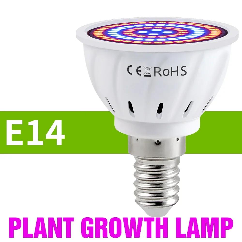 E27 LED Plant Grow Lights GU10 220v Full Spectrum Indoor Hydroponics Flower Seeds Promote Growth Vegetables Cultivation LampE14