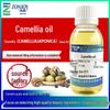 Camellia Oil: Plant-Based Moisturizing & Nourishing Cosmetic Grade Skincare Ingredient