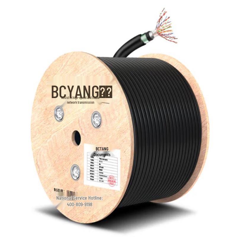 BoYang Outdoor Armored 30-Pair Communication Cable