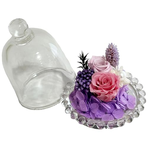 Q-FLA Preserved Flower Arrangement In a Dry Dome, Purple, Mother's Day Gift, 785634