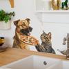 Cat Dog Eating Pizza Wall Sticker Self-Adhesive Removable Kids Room Nursery Hallway Home Decor
