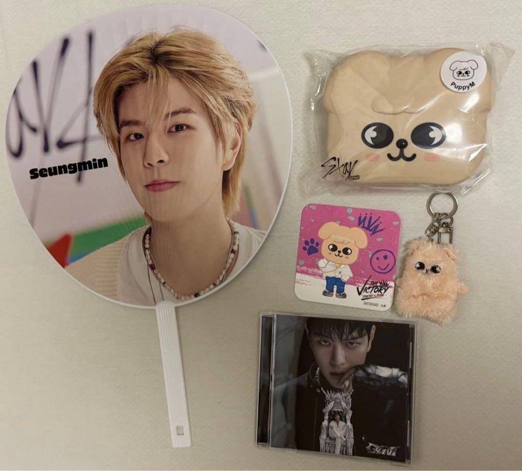 [USED] Official Stray Kids Seungmin PapiM 33-piece Set