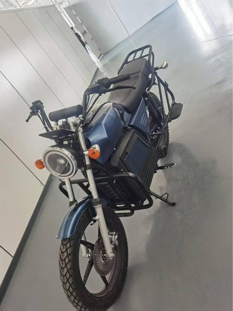 High-Speed D300 Electric Sports Motorbike for Adults - Africa Passenger Model