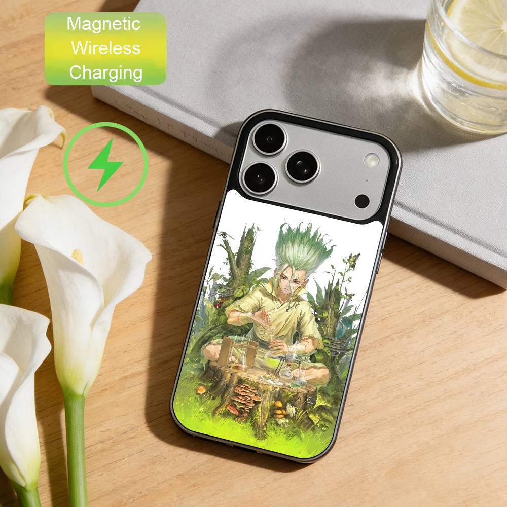 

Dr.STONE Phone Case For iPhone17,16,15,14,13,12,11 Plus,For Magnetic Wireless Charge Cover iPhone15PRO