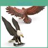 Animal Eagles Model Pvc Bird Decor For Kids Educational Display And Home Decor