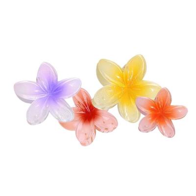 Αξεσουάρ μαλλιών – Κοκαλάκια μαλλιών