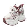 Women's Breathable Mesh Dad Shoes New Autumn Thick Bottom Casual Sports Walking Shoes Retro 10CM High Platform Chunky Sneakers