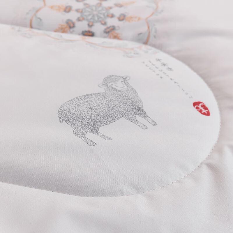 Hengyuanxiang Warm New Wool Quilt