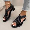 Fashion Ladies Shoes 2025 New Back Zipper Women's Sandals Fashion Crystal Office and Career Summer Open Toe Best Seller Heeled Sandals