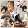Pet Hair Cleaning and Collection Gloves Pet Double-sided Multi-functional Beauty Glove Tool Reduce The Pressure of Pet Ownership