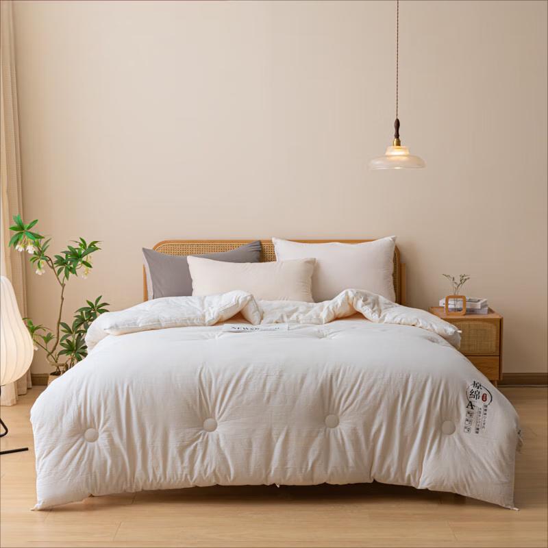 

Jieliya Soybean Fiber Quilt