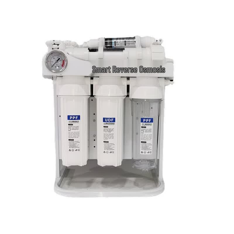 ZISIZ 100G Household Direct Drink Water Purifier