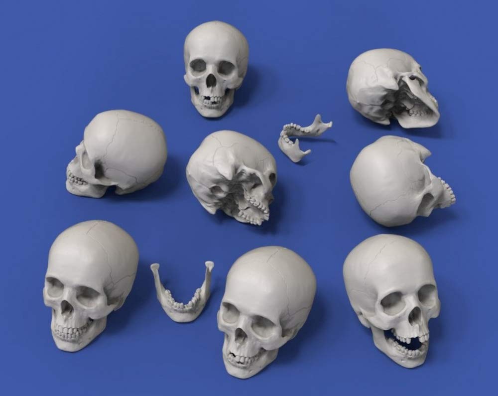 

Royal Model Skull Resin Kit RM912 1/32 (54mm) 8-piece