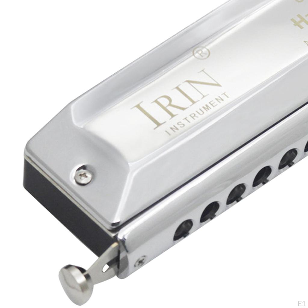Chromatic Harmonica Mouth Organ Heavy Duty 12 Hole 48 Tones