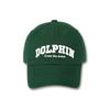 DOLPHIN WAVE APPAREL Dolphin Authentic Logo Ball Cap_123822DN
